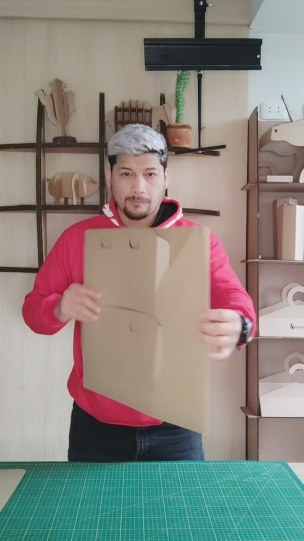 Exhibidor Plegable de Cartón